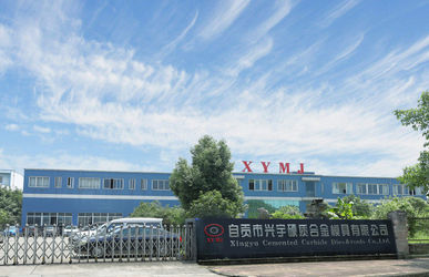 Zigong Xingyu Cemented Carbide Dies & Tools Co., Ltd.